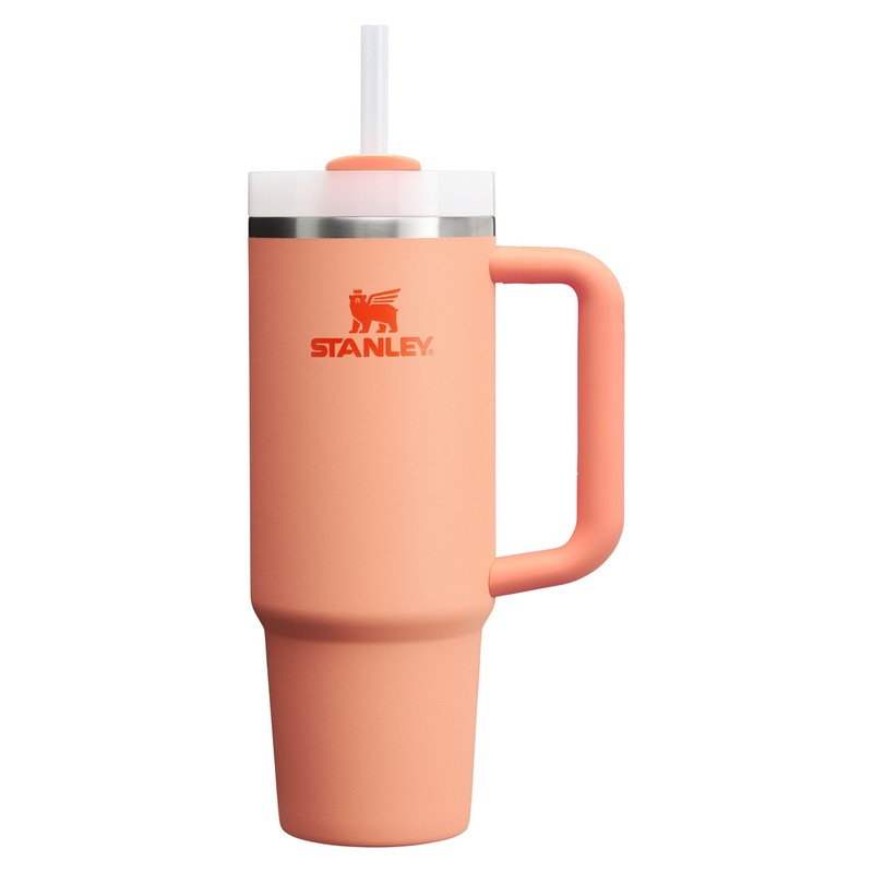 STANLEY Quencher H2.0 Tumbler with Handle and Straw 30 oz | Flowstate 3-Position Lid | Cup Holder Compatible for Travel | Insulated Stainless Steel Cup | BPA-Free | Nectarine